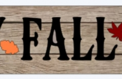 Fall 608